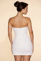 Edyta | Seraphine Mesh Mini Dress